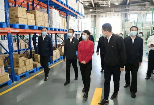 王莉霞強調 強化一對一精準服務，全面推動綜合保稅區高質量發展