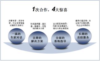 雙百行動與國企轉(zhuǎn)型 信息咨詢服務(wù)產(chǎn)品手冊深度解讀